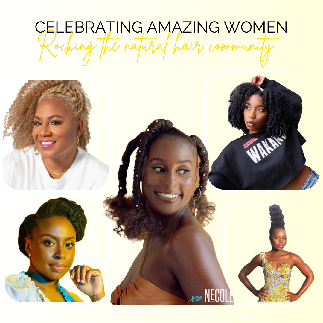 Celebrating Amazing Women Rocking The Natural Hair Community